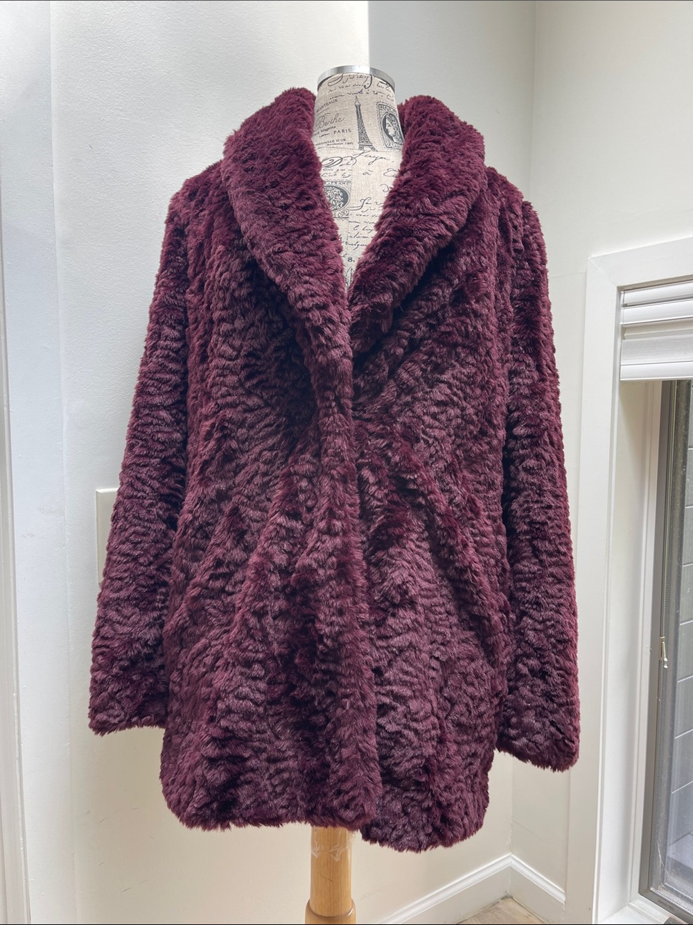 Express Plush Faux Fur Teddy Coat - Deep Burgundy